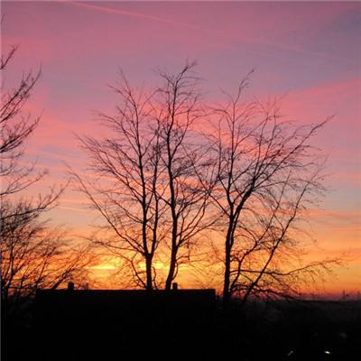 kaiyun平台app下载